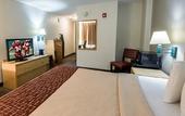 Туры в отель Red Roof Inn PLUS+ Boston - Mansfield/ Foxboro