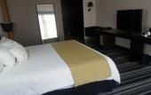 Туры в отель Wyndham Santiago Pettra