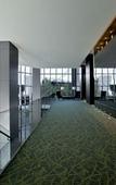 Туры в отель The Westin Guadalajara