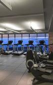 Туры в отель The Westin Guadalajara