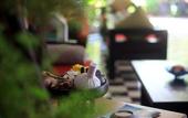 Туры в отель Khmer Mansion Boutique Hotel