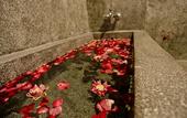 Туры в отель Khmer Mansion Boutique Hotel