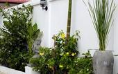 Туры в отель Khmer Mansion Boutique Hotel
