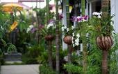 Туры в отель Khmer Mansion Boutique Hotel