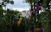 Туры в отель Khmer Mansion Boutique Hotel