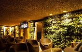 Туры в отель The Charlee Hotel