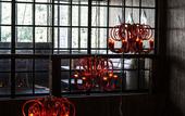 Туры в отель The Charlee Hotel
