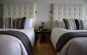 Туры в отель The Charlee Hotel