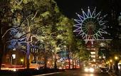 Туры в отель APA Hotel Kagoshima Chuo Ekimae