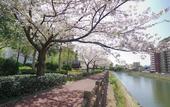 Туры в отель APA Hotel Kagoshima Chuo Ekimae