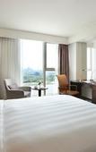 Туры в отель LOTTE CITY HOTEL DAEJEON
