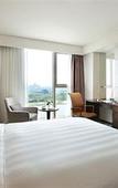 Туры в отель LOTTE CITY HOTEL DAEJEON