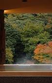 Туры в отель Hakone Suimeisou