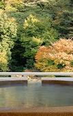 Туры в отель Hakone Suimeisou