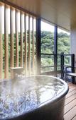 Туры в отель Hakone Suimeisou
