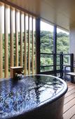 Туры в отель Hakone Suimeisou