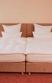 Туры в отель Carathotel Basel/Weil am Rhein