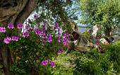 Туры в отель Hotel Brancamaria