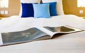 Туры в отель Novotel Atria Nimes Centre