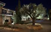 Туры в отель Terre de Provence Hotel & Spa