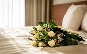 Туры в отель Aparthotel Invite
