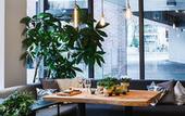 Туры в отель Aparthotel Invite