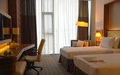 Туры в отель Anemon Grand Samsun Hotel