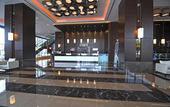 Туры в отель Anemon Grand Samsun Hotel