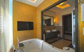 Туры в отель Anemon Grand Samsun Hotel