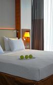 Туры в отель Anemon Grand Samsun Hotel