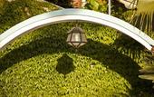 Туры в отель Hotel Continental Ischia