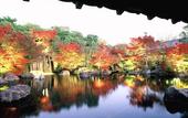 Туры в отель APA Hotel Himeji Ekikita