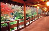 Туры в отель APA Hotel Himeji Ekikita