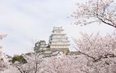 Туры в отель APA Hotel Himeji Ekikita