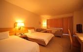 Туры в отель Hakodate Kokusai Hotel