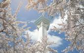 Туры в отель HOTEL MYSTAYS Hakodate Goryokaku