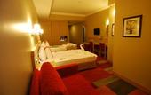 Туры в отель SV Business Hotel Diyarbak?r