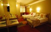 Туры в отель SV Business Hotel Diyarbak?r