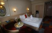 Туры в отель SV Business Hotel Diyarbak?r