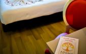 Туры в отель Adonis Hotel Bayonne