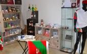 Туры в отель Adonis Hotel Bayonne