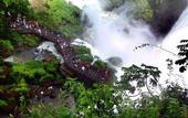 Туры в отель La Reserva Virgin Lodge