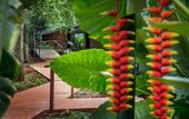 Туры в отель La Reserva Virgin Lodge