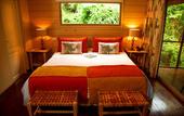 Туры в отель La Reserva Virgin Lodge