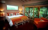 Туры в отель La Reserva Virgin Lodge