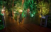 Туры в отель La Reserva Virgin Lodge