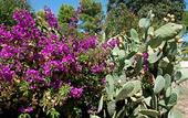 Туры в отель Ostuni a Mare