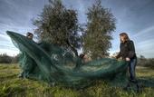 Туры в отель Castello Vicchiomaggio