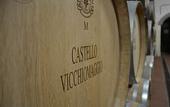 Туры в отель Castello Vicchiomaggio