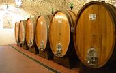 Туры в отель Castello Vicchiomaggio